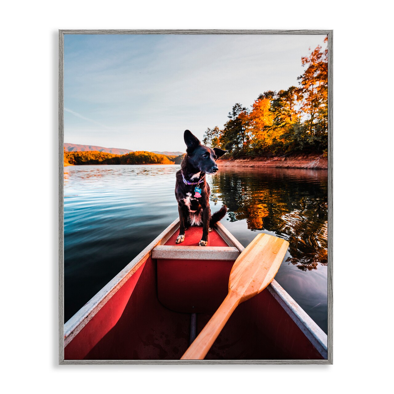 Stupell Industries Pup And Paddles Framed Giclee, design by Jared Kreiss